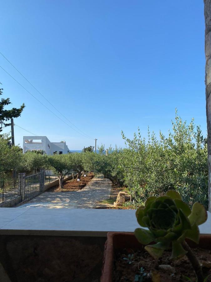 Villa L'Orizzonte Di Calabianca كاستيلاّماري ديل غو المظهر الخارجي الصورة