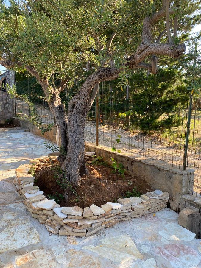 Villa L'Orizzonte Di Calabianca كاستيلاّماري ديل غو المظهر الخارجي الصورة