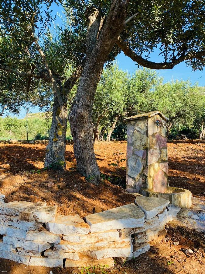 Villa L'Orizzonte Di Calabianca كاستيلاّماري ديل غو المظهر الخارجي الصورة