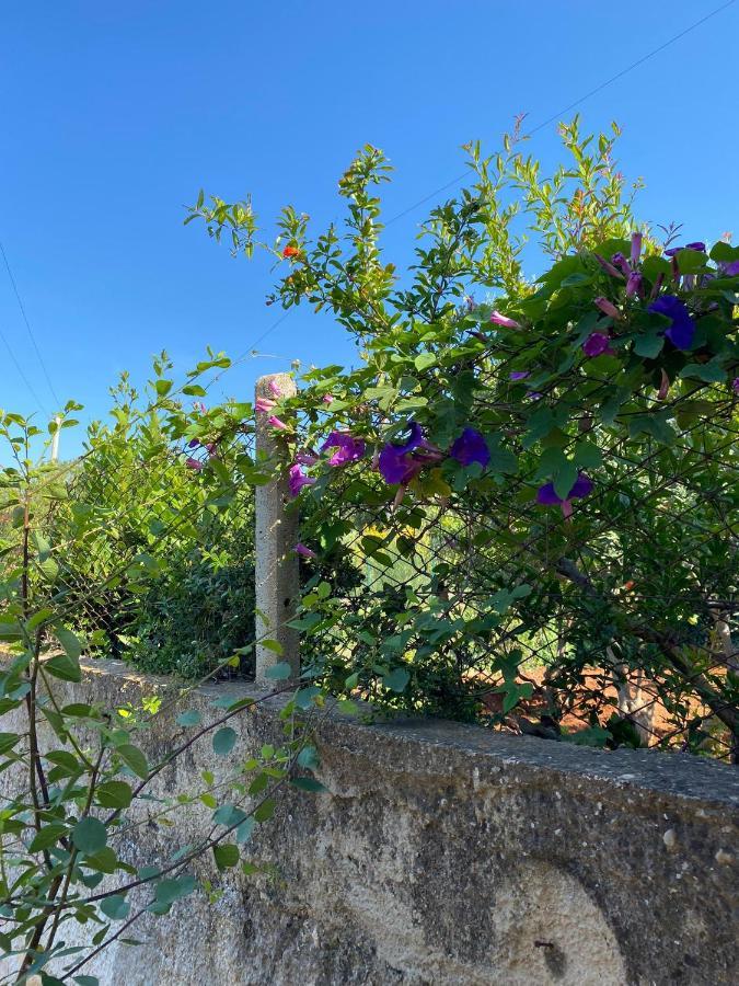 Villa L'Orizzonte Di Calabianca كاستيلاّماري ديل غو المظهر الخارجي الصورة