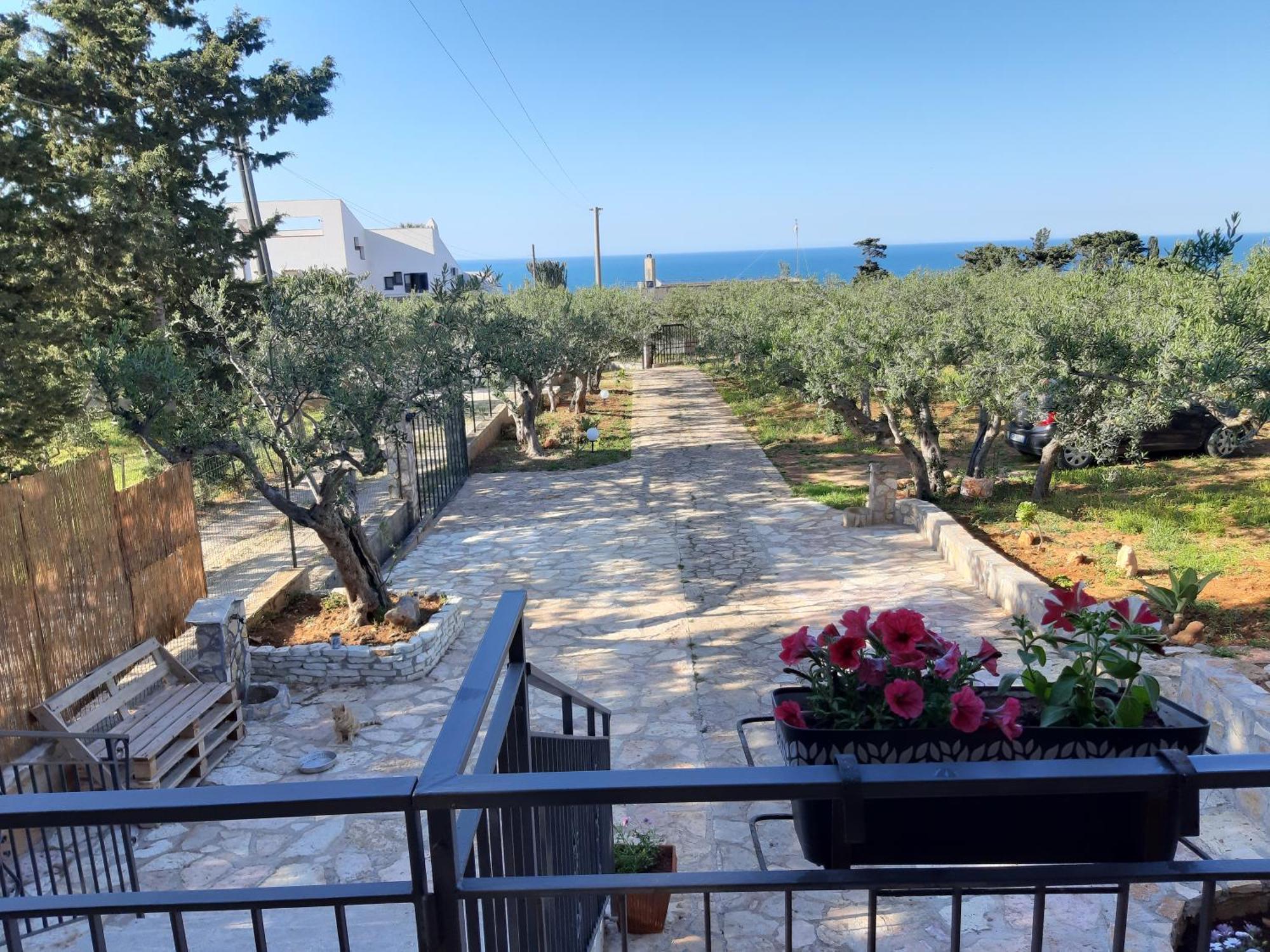 Villa L'Orizzonte Di Calabianca كاستيلاّماري ديل غو المظهر الخارجي الصورة