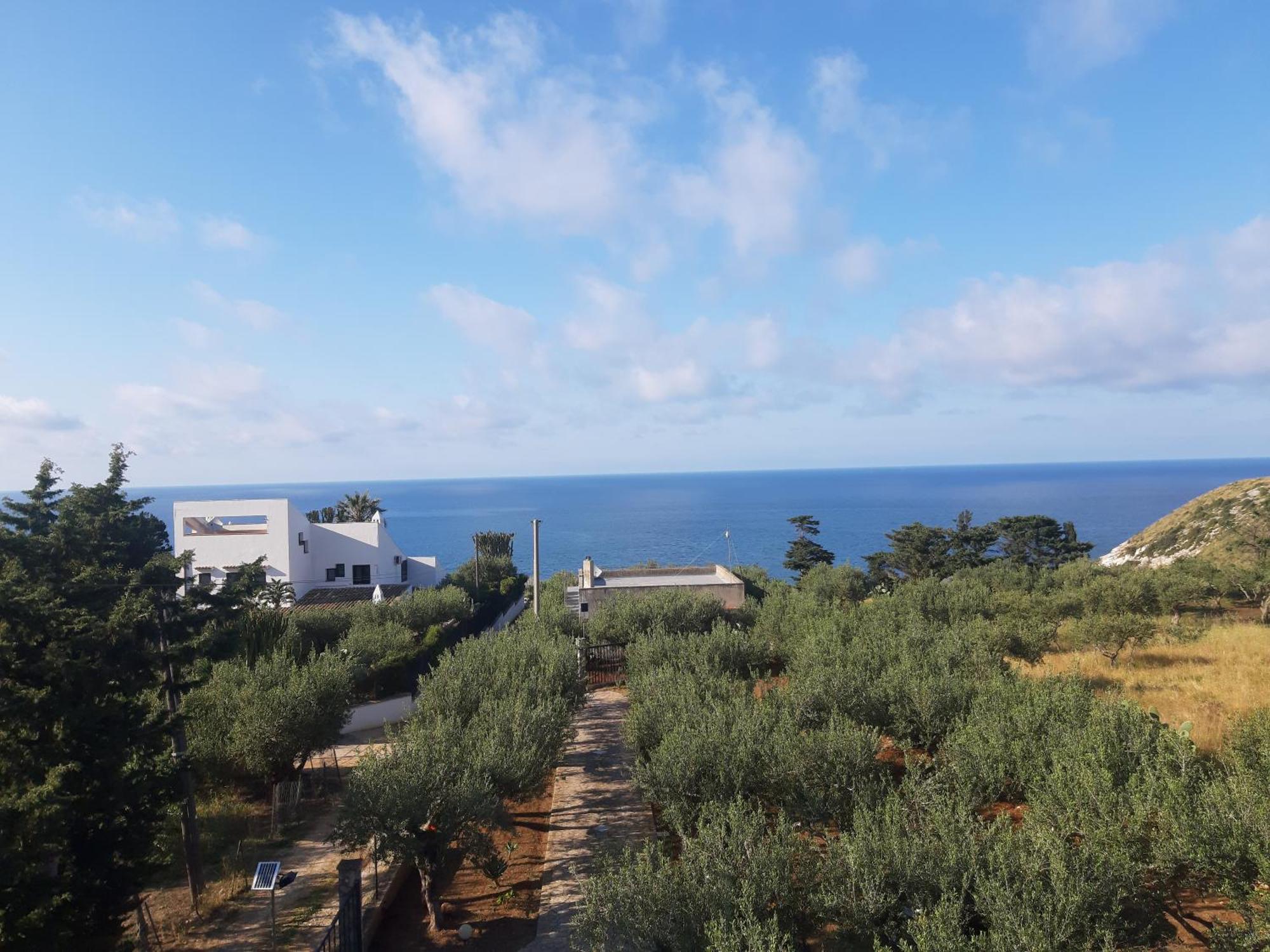 Villa L'Orizzonte Di Calabianca كاستيلاّماري ديل غو المظهر الخارجي الصورة