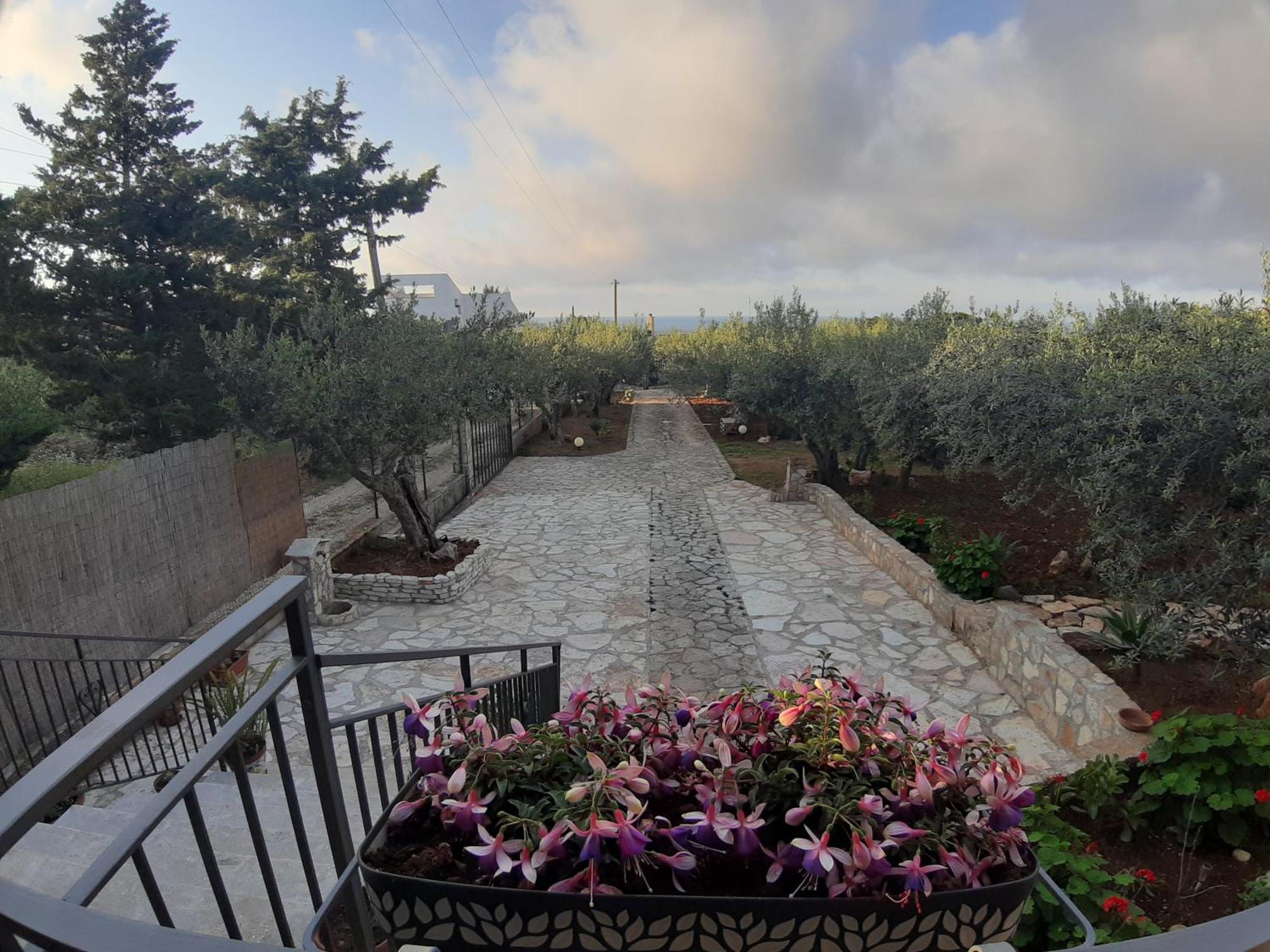 Villa L'Orizzonte Di Calabianca كاستيلاّماري ديل غو المظهر الخارجي الصورة